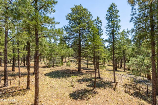 3040 S Solitaires Canyon Drive 352, Flagstaff, AZ 86005