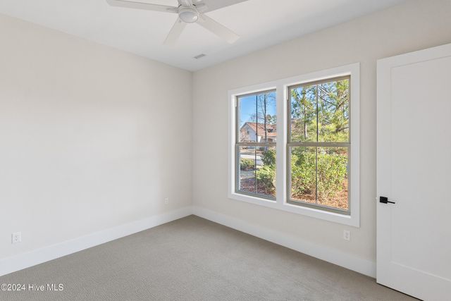 3605 Rosewood Landing Drive, Castle Hayne, NC 28429