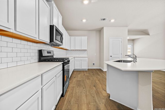 189 Squacco Heron, San Antonio, TX 78253