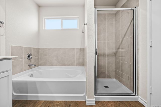 189 Squacco Heron, San Antonio, TX 78253