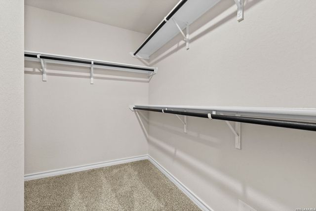 189 Squacco Heron, San Antonio, TX 78253