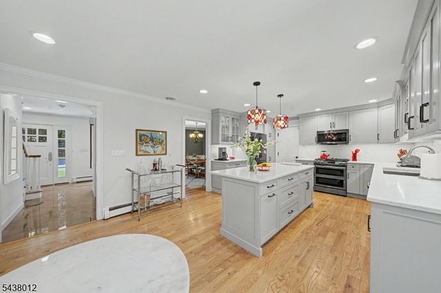 11 Goose Cove Ln, Ramsey Boro, NJ 07446