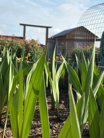 5720 Trackside Road, Chappell Hill, TX 77426