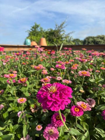 5720 Trackside Road, Chappell Hill, TX 77426