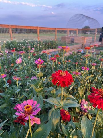 5720 Trackside Road, Chappell Hill, TX 77426