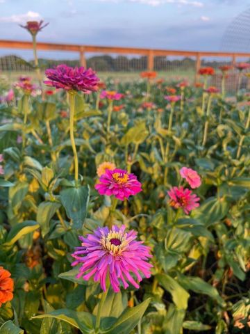 5720 Trackside Road, Chappell Hill, TX 77426