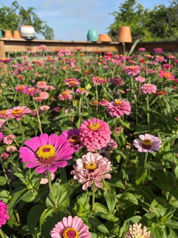 5720 Trackside Road, Chappell Hill, TX 77426