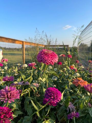 5720 Trackside Road, Chappell Hill, TX 77426