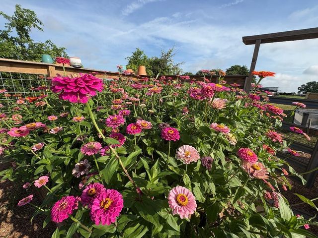 5720 Trackside Road, Chappell Hill, TX 77426