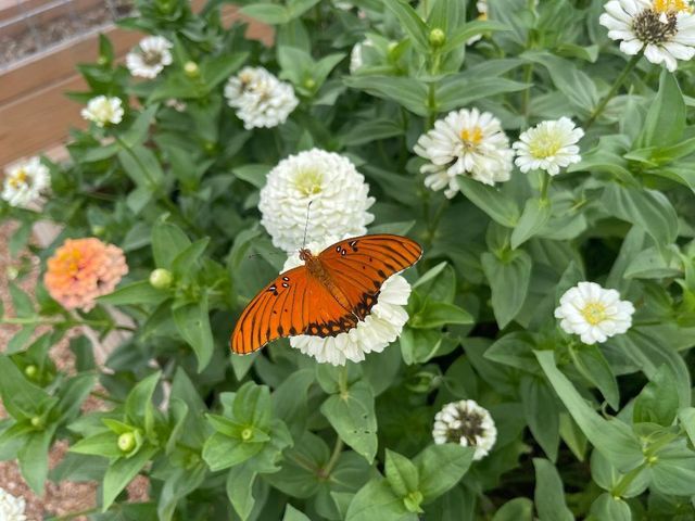 5720 Trackside Road, Chappell Hill, TX 77426