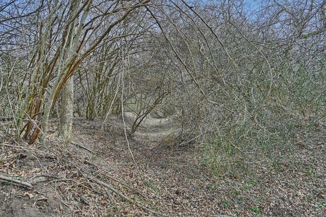 5720 Trackside Road, Chappell Hill, TX 77426