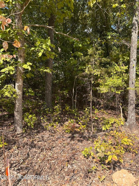 LOT 38 STERLING RIDGE, Holts Summit, MO 65043