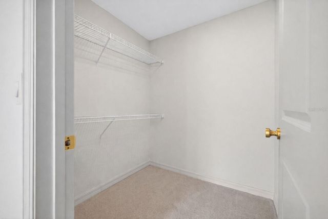 4565 TUSCAN LOON DRIVE, Tampa, FL 33619