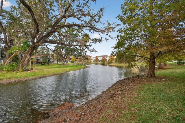 4565 TUSCAN LOON DRIVE, Tampa, FL 33619