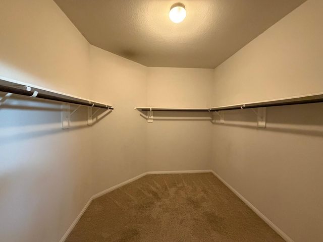 25048 Adams Canyon Drive, Porter, TX 77365