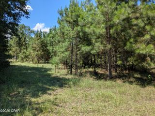 0 Carters Mill Road, Marianna, FL 32446