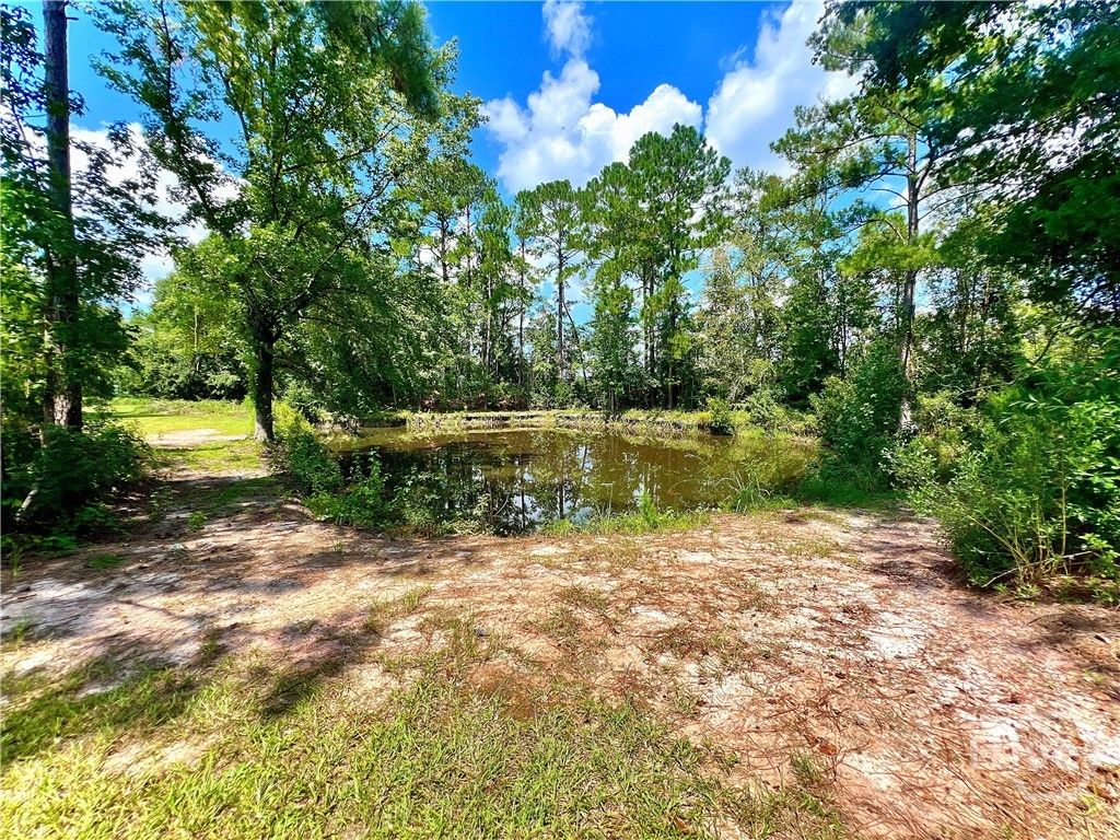 Image 51 of property listing at 1517 granny crosby, Screven, GA 31560