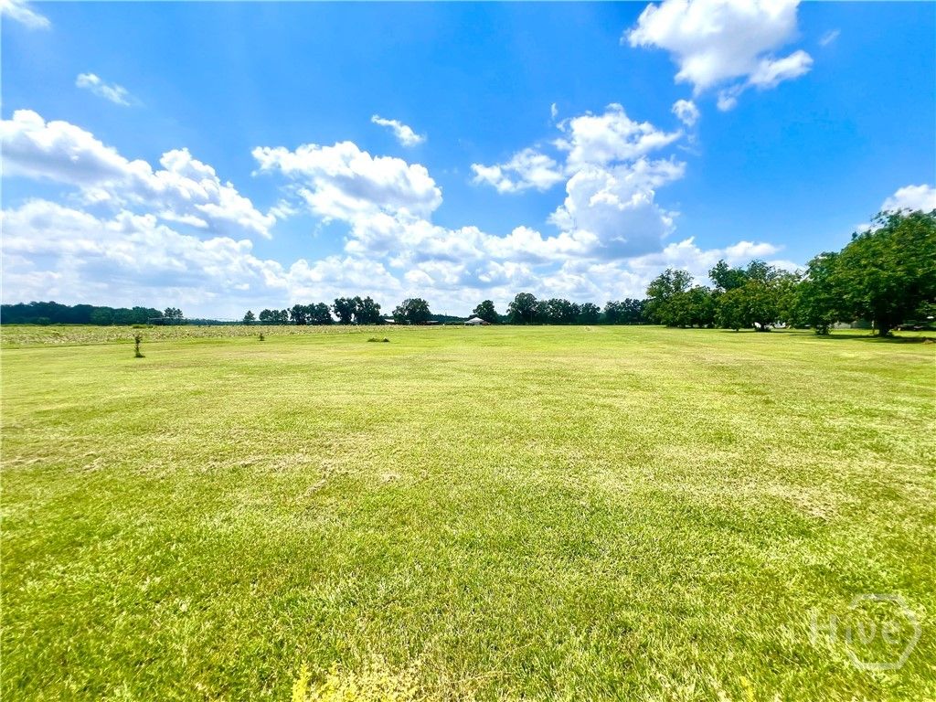Image 6 of property listing at 1517 granny crosby, Screven, GA 31560