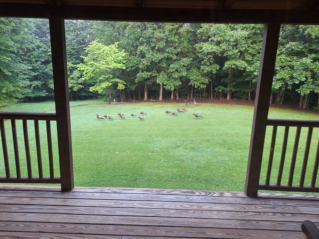 146 Sparkmantown Rd, Rock Island, TN 38581