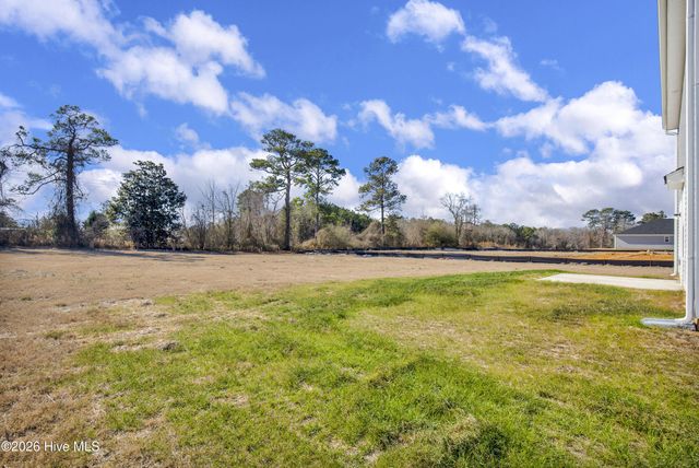 221 Buggy Top Lane, Autryville, NC 28318