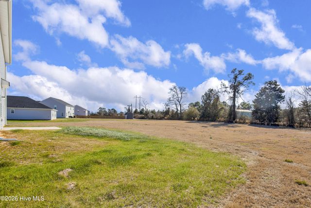 221 Buggy Top Lane, Autryville, NC 28318