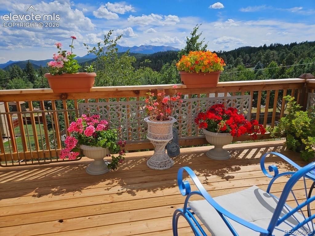 219 Dewell Road, Woodland Park, CO 80863 — photo 2
