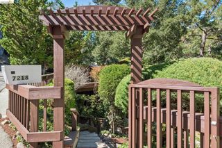 7218 Homewood Dr, Oakland, CA 94611