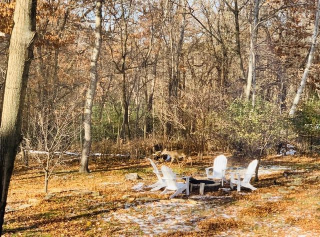 1905 Glendale Hills Drive NE, Rochester, MN 55906