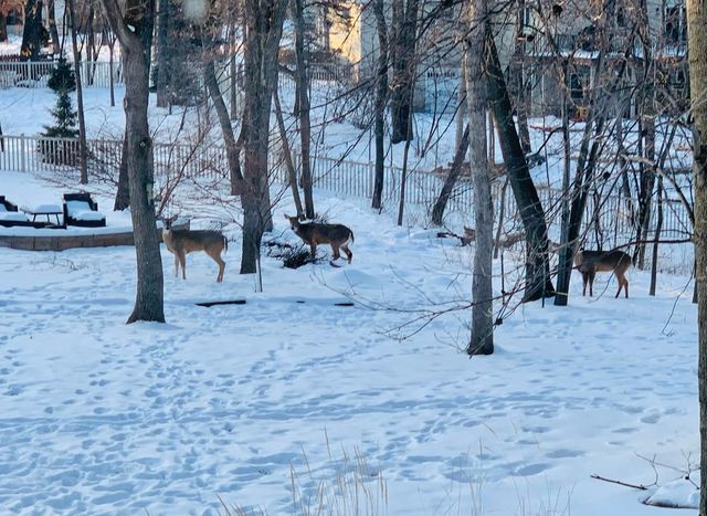 1905 Glendale Hills Drive NE, Rochester, MN 55906