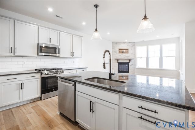 18736 Palisades Cove Trl, Moseley, VA 23120