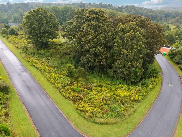 1344 Blue Grass Court, Demorest, GA 30535