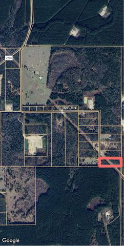 1353 Plum Pudding Road, Livingston, TX 77351