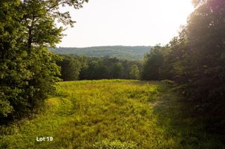 0 Long Branch Road Lot 19, Rising Fawn, GA 30738