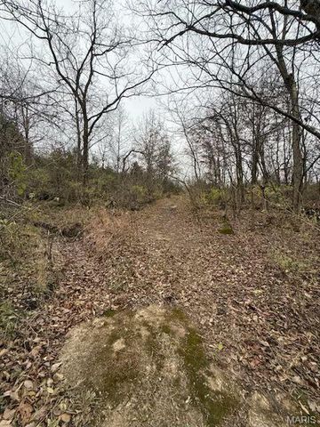 5387 Hurryville Road, Farmington, MO 63640