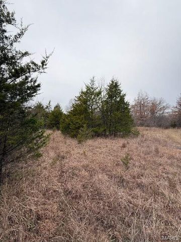 5387 Hurryville Road, Farmington, MO 63640