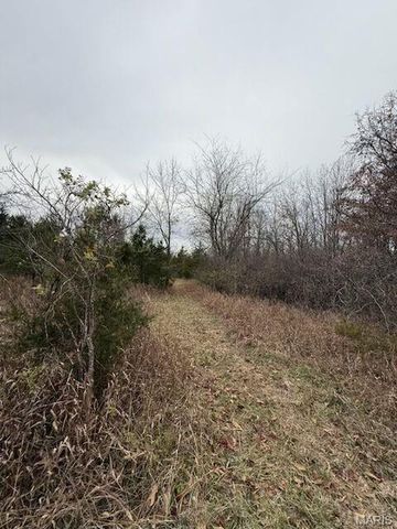 5387 Hurryville Road, Farmington, MO 63640