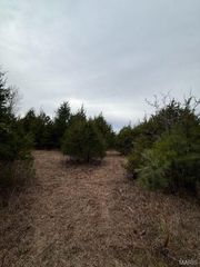 5387 Hurryville Road, Farmington, MO 63640