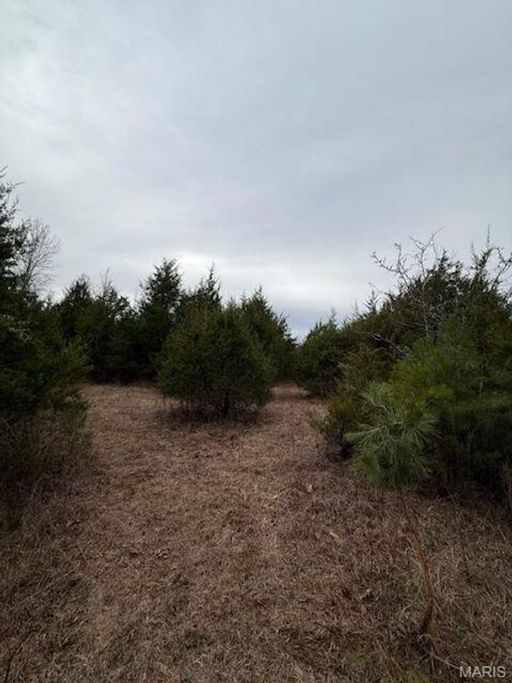 5387 Hurryville Road, Farmington, MO 63640