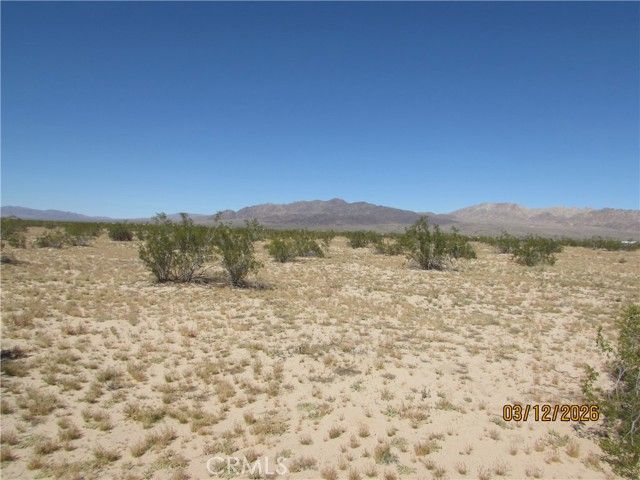 42 Amboy, Twentynine Palms, CA 92277