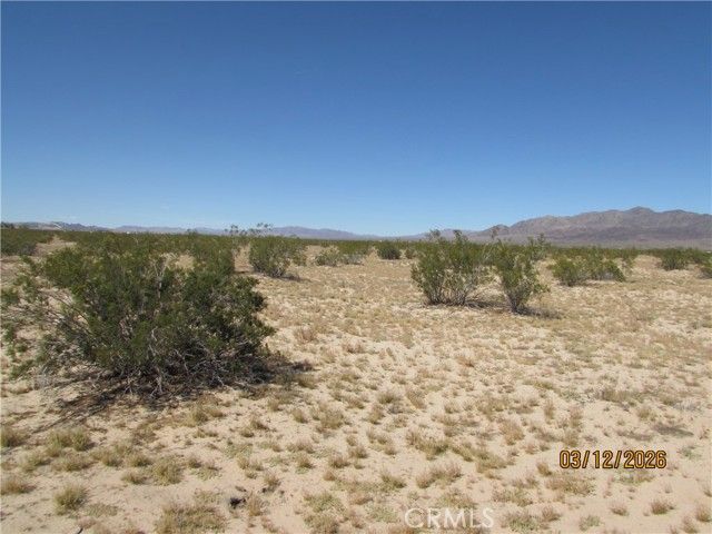 42 Amboy, Twentynine Palms, CA 92277