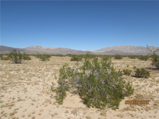 42 Amboy, Twentynine Palms, CA 92277