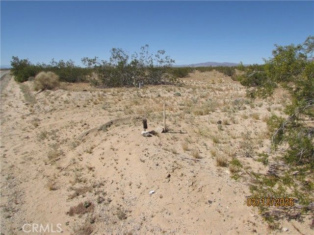 42 Amboy, Twentynine Palms, CA 92277