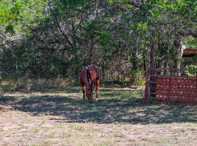 425 Cedar Break Lane LN, Burnet, TX 78611