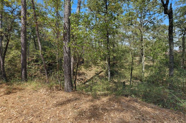Lot 8 Tejas Street, Huntsville, TX 77320