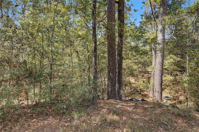Lot 8 Tejas Street, Huntsville, TX 77320