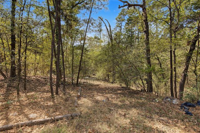 Lot 8 Tejas Street, Huntsville, TX 77320