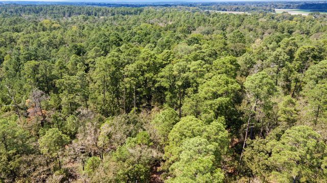 Lot 8 Tejas Street, Huntsville, TX 77320