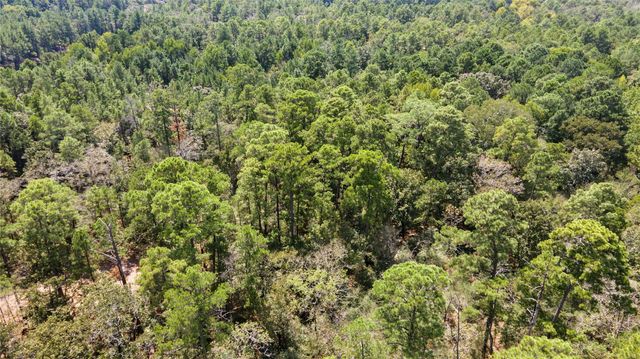 Lot 8 Tejas Street, Huntsville, TX 77320