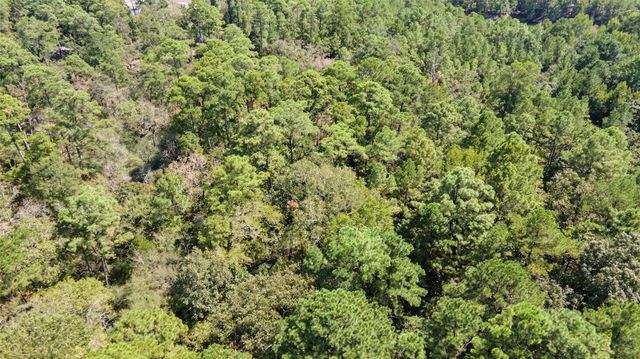 Lot 8 Tejas Street, Huntsville, TX 77320