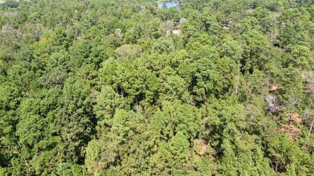 Lot 8 Tejas Street, Huntsville, TX 77320